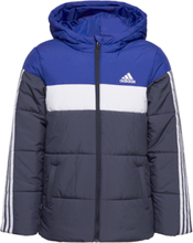 Padded Jacket Kids Sport Jackets & Coats Puffer & Padded Blue Adidas Sportswear