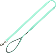 Trixie Premium Leine mint - XS–S: 120 cm lang, 15 mm breit