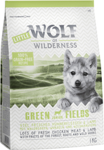 Zum Sonderpreis! Wolf of Wilderness Trockenfutter 2 x 1 kg - JUNIOR Green Fields - Lamm