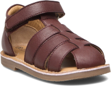 Sandal Leather Shoes Summer Shoes Sandals Brown Sofie Schnoor Baby And Kids