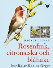 Rosenfink, Citronsiska Och Blåhake - Hur Fåglar Får Sina Färger