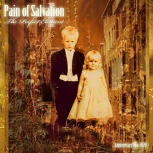 Pain of Salvation: Perfect element (2020/Rem)