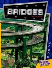 Bridges Fast Lane Yellow Non-Fiction