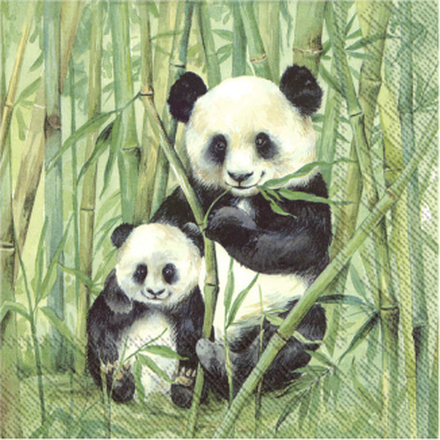 60x Groene 3-laags servetten pandaberen 33 x 33 cm