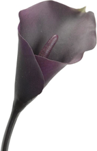 Kwiat sztuczny Calla