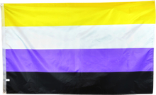 Flagga Pride Ickebinär XL Party