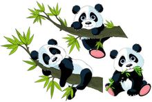 Panda wallsticker. Tre super søde pandaer. 40x60cm
