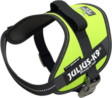 Julius-K9 IDC® Hundsele - UV Neon Green (Mini-Mini)