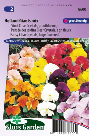 Veilchen Holland Giants Mix Ã¢ÂÂ" Viola Clear Crystals
