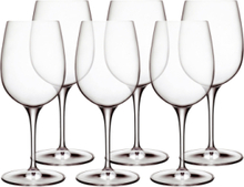 Rødvinsglas Palace Home Tableware Glass Wine Glass Red Wine Glasses Nude Luigi Bormioli