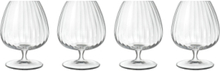 Cognacglass Optica Home Tableware Glass Whiskey & Cognac Glass Nude Luigi Bormioli*Betinget Tilbud