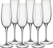 Champagneglass Palace 23,5 Cl 6 Stk. Klar Home Tableware Glass Champagne Glass Nude Luigi Bormioli*Betinget Tilbud
