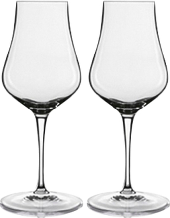 Spirits/Snifterglas Vinoteque Home Tableware Glass Liqueur Glass Nude Luigi Bormioli