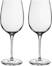 Rødvinsglas Ricco Vinoteque 59 Cl 2 Stk. Klar Home Tableware Glass Wine Glass Red Wine Glasses Nude Luigi Bormioli