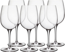 Rødvinsglass Palace Home Tableware Glass Wine Glass Red Wine Glass Nude Luigi Bormioli*Betinget Tilbud
