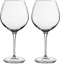 Rødvinsglass Robusto Vinoteque Home Tableware Glass Wine Glass Red Wine Glass Nude Luigi Bormioli*Betinget Tilbud