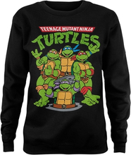 Teenage Mutant Ninja Turtles Group Girly Sweatshirt, Sweatshirt