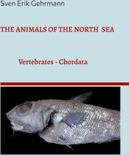 The Animals Of The North Sea 1