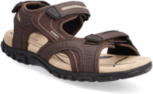 Uomo Sandal Strada D Shoes Summer Shoes Sandals Brown GEOX