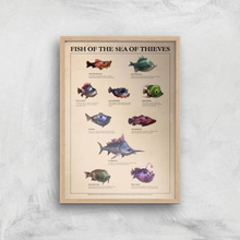 Fish Of The Sea Of Thieves Giclee Art Print - A4 - Wooden Frame