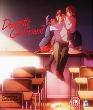 Domestic Girlfriend Collection