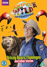 Andy's Wild Adventures - Grizzly Bears, Flamingos and other stories