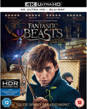 Fantastic Beasts and Where To Find Them - 4K Ultra HD