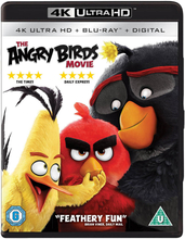 The Angry Birds Movie - 4K Ultra HD
