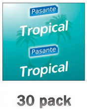 Pasante Tropical Flavours 30-pack
