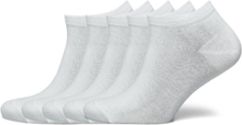 Solid-Solid Sn 5P Lingerie Socks Footies/Ankle Socks Hvit Esprit Socks*Betinget Tilbud
