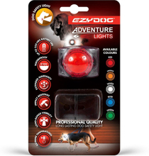 Adventure Hondenlampje - Hondenverlichting