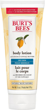 Burt's Bees Body Lotion With Cocoa & Cupuacu Butters 170 g