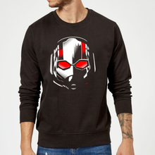 Ant-Man And The Wasp Scott Mask Sweatshirt - Black - S - Black