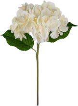 Konstväxt Hortensia 55 cm vit