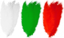 6x stuks grote veer/struisvogelveren 2x wit 2x groen en 2x rood van 50 cm