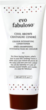 Evo Fabuloso Cool Brown Color Boosting Treatment 220 ml