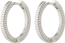 69233-6013 DOMINIQUE Hoop Earrings 1 set
