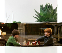 Harry Potter Harry And Ron - Playing Chess Mug