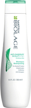 Biolage Scalp Sync Anti Dandruff Shampoo - 250 ml
