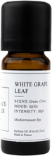 Doftolja No 27 White Grape Leaf - 10 ml
