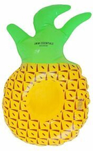 Holder Swim Essentials Pineapple