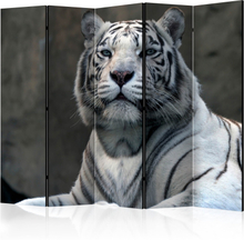 Skærmvæg - Bengali tiger in zoo II 225 x 172 cm