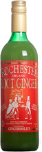Rochester Økologisk Ingefærrot drikk