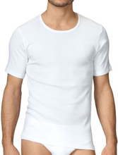 Calida Cotton 1 T-Shirt 14310 Vit 001 bomull Small Herr