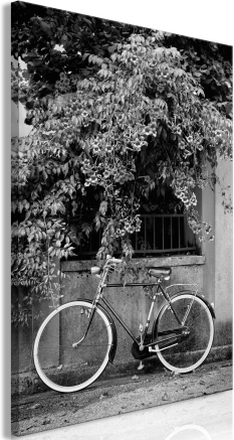 Canvas Tavla - Bicycle and Flowers Vertical - 80x120