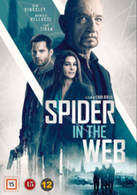 Spider In The Webb