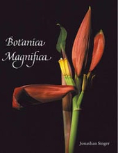 Botanica Magnifica