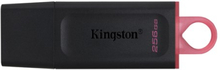 Kingston Datatraveler Exodia 256gb Usb 3.2 Gen 1