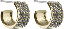 Snö of Sweden Carrie Small Ring Ear Gold/Clear Gold/Clear