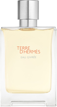 Terre d'Hermès Eau Givrée, Eau de Parfum 100ml